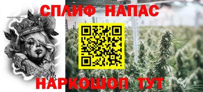трава Бийск