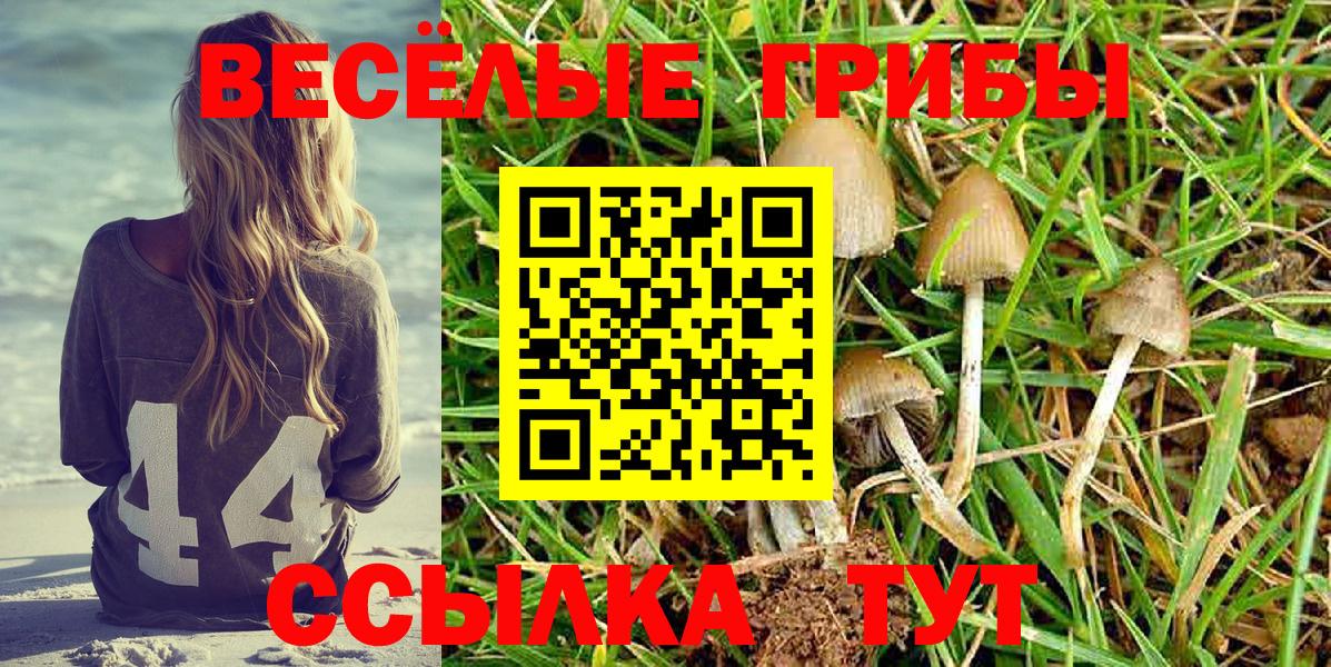 Галлюциногенные грибы прущие грибы Зеленогорск